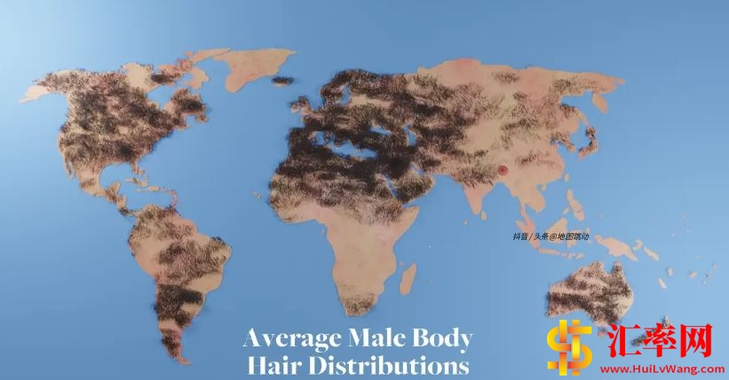 Average Male Body Hair distributions 全球男性平均体毛分布